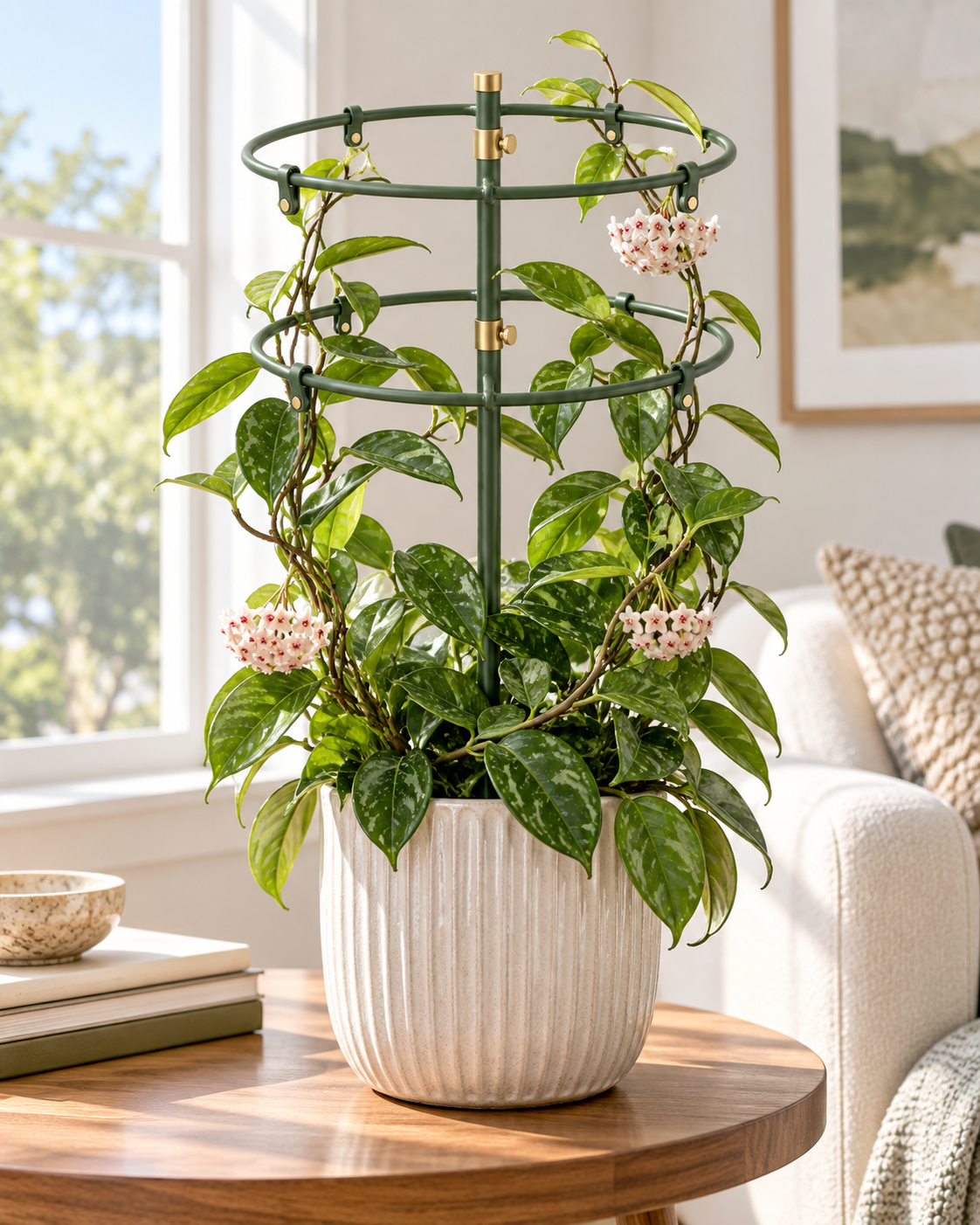 Crown Vine Support